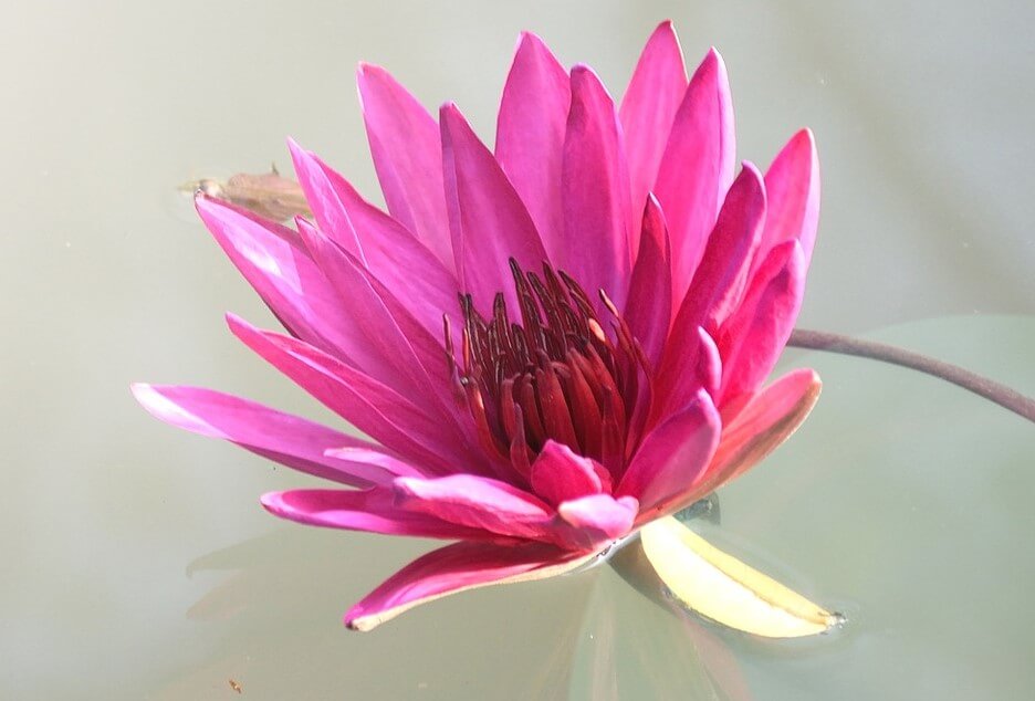 Dzień Edukacji Narodowej