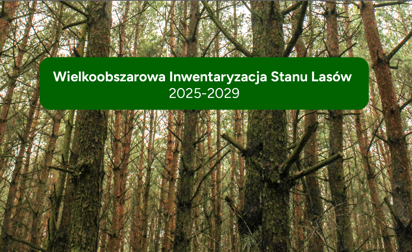 Apel do właścicieli lasów prywatnych