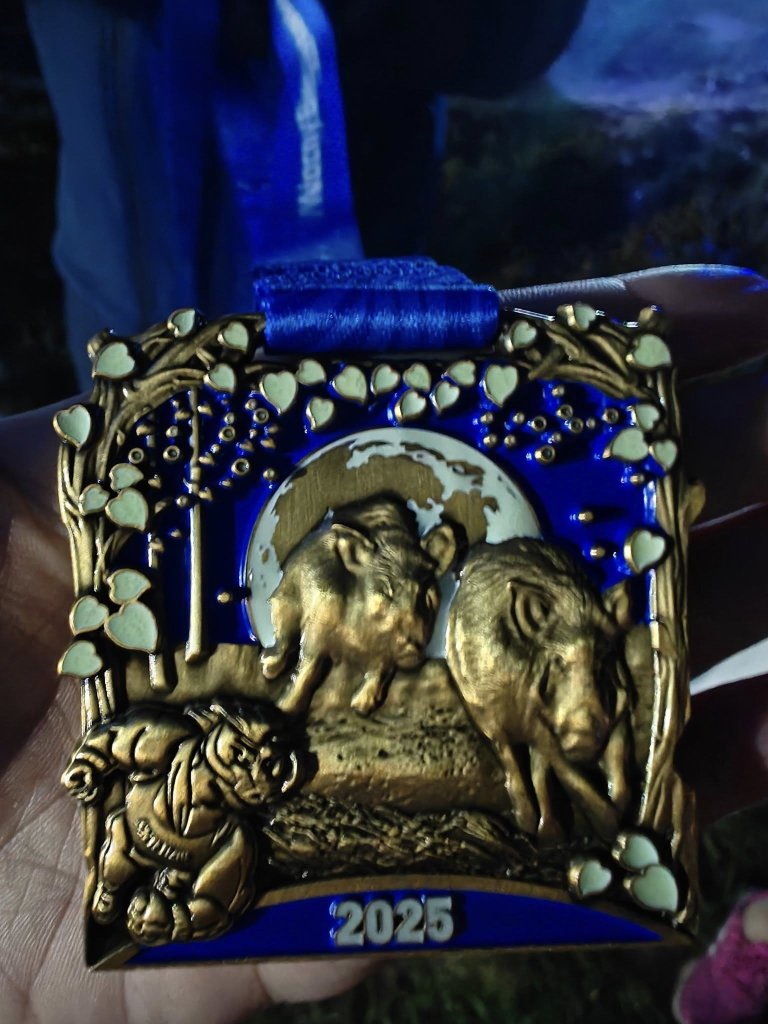 XV Festiwal Biegowy "Dziki Weekend" – sport, emocje i wyjątkowa atmosfera