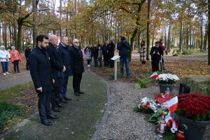 Przedstawiciele Powiatu Polickiego stoją przed obeliskiem upamiętniającym Marszałka Józefa Piłsudskiego