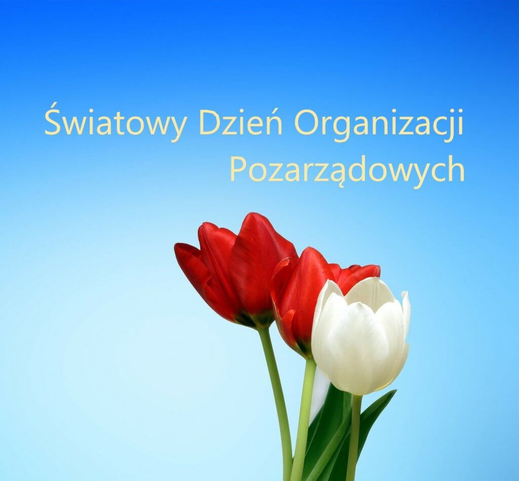 dwa tulipany biały i czerwony na niebieskim tle z napisem Światowy Dzień Organizacji Pozarządowych