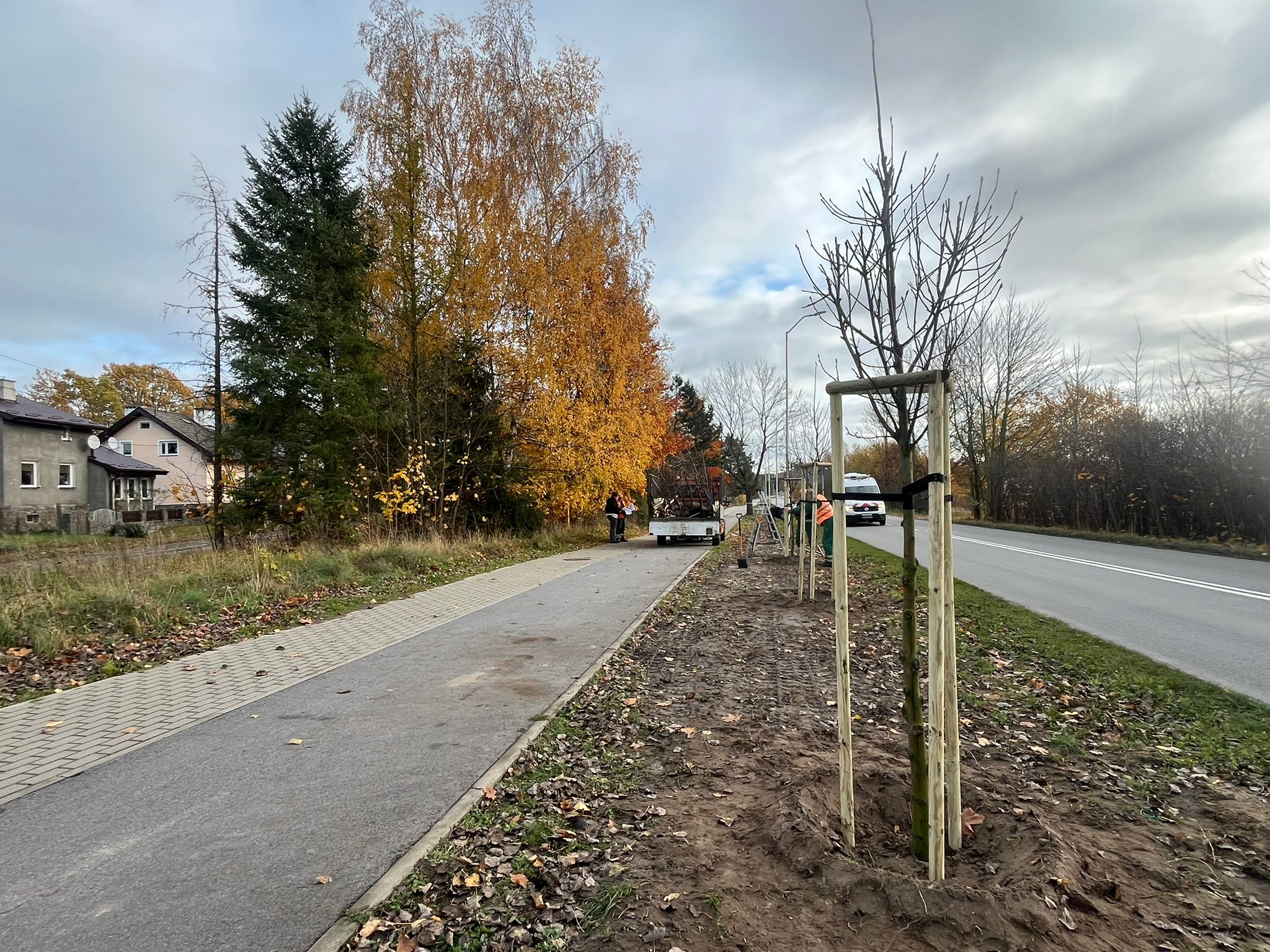 Nowe drzewa wzdłuż ul. Szczecińskiej w Dobrej!