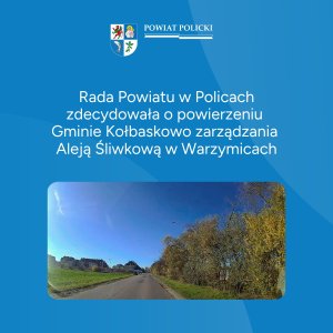 grafika Aleja Śliwkowa